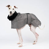 Italian Greyhound Winter Coat in Mid Grey