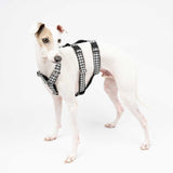 Anti-Escape Harness in Houndstooth