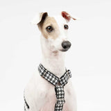 Anti-Escape Harness in Houndstooth