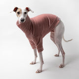 Velvet Turtleneck Sweater in Pink
