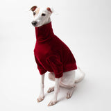 Velvet Turtleneck Sweater in Red