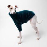 Velvet Turtleneck Sweater in Teal