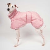 Italian Greyhound Winter Coat in Pink