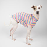 Ribbed Sleeveless Sweater in Sherbet Stripe