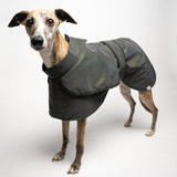 Whippet Reflective Trench Coat