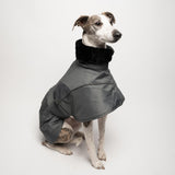 Whippet Winter Coat in Charcoal
