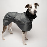 Whippet Winter Coat in Charcoal