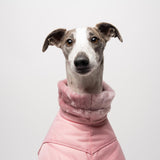 Whippet Winter Coat in Pink