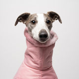 Whippet Winter Coat in Pink